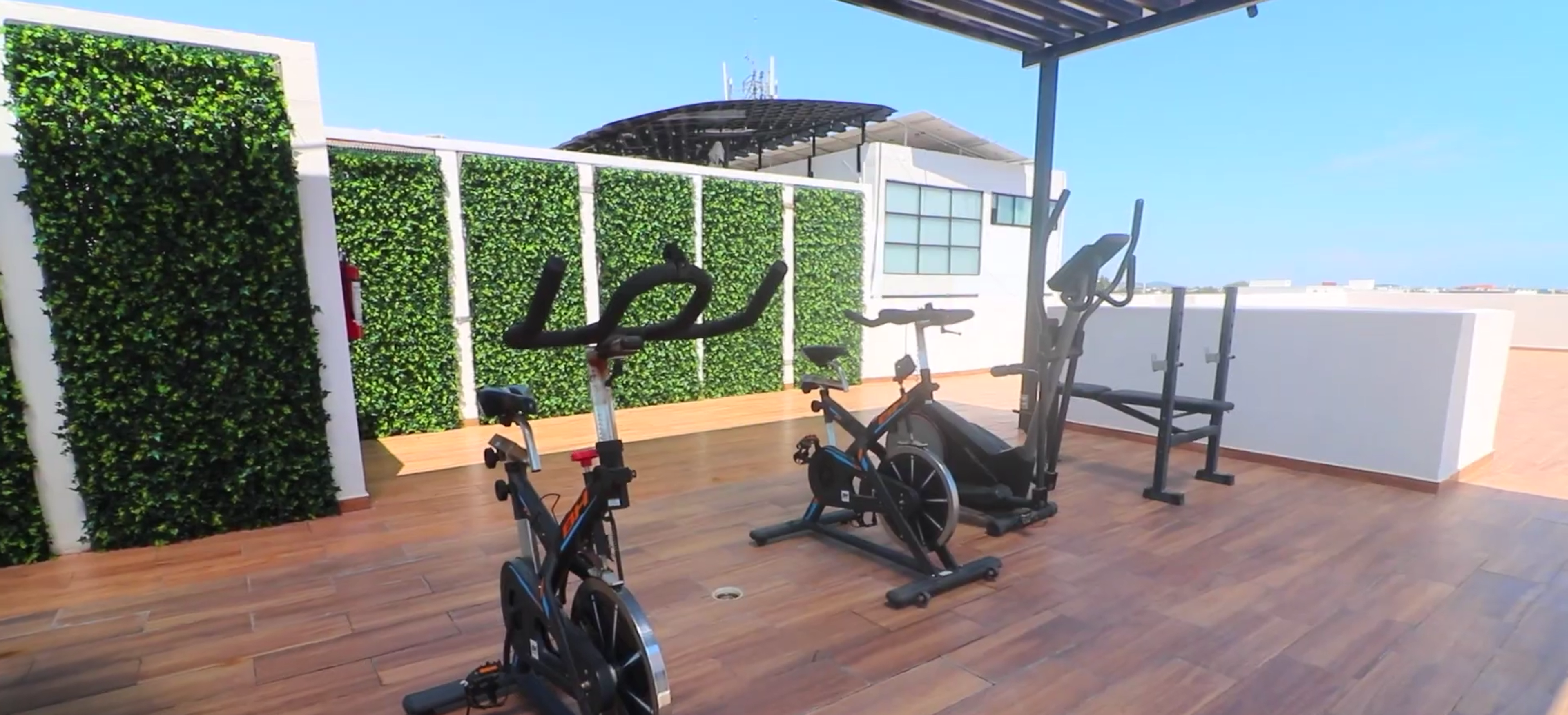 Gimnasio